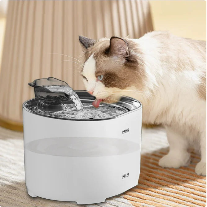 Automatic USB Electric Pet Water Feeder