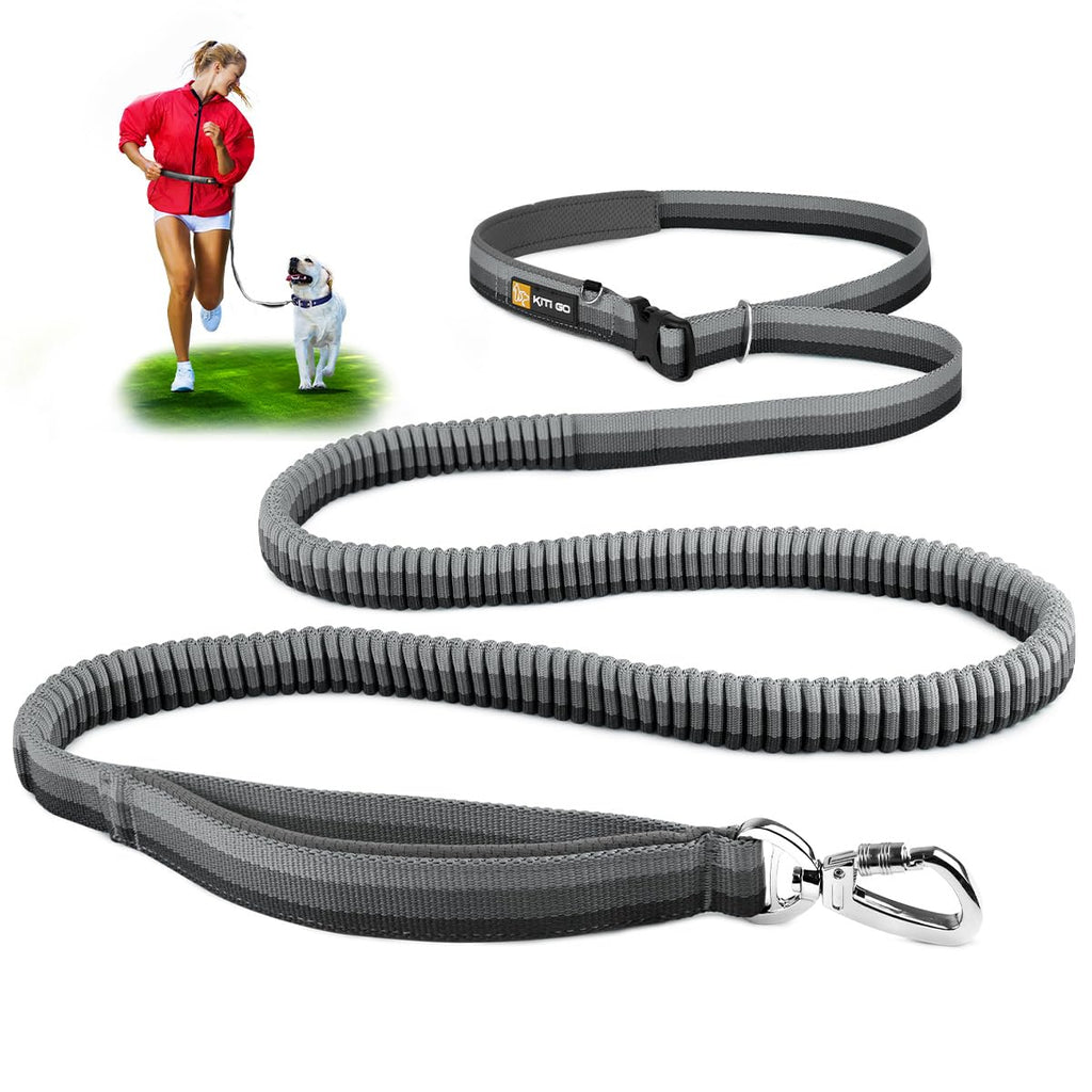 5 in 1 Hands-Free Dog Leash Adjustable Waist Leash with Padded Handles & Shock Absorbing Bungee for Dogs 25-125LBS - Perfect for Walking Jogging Hiking Running Grey