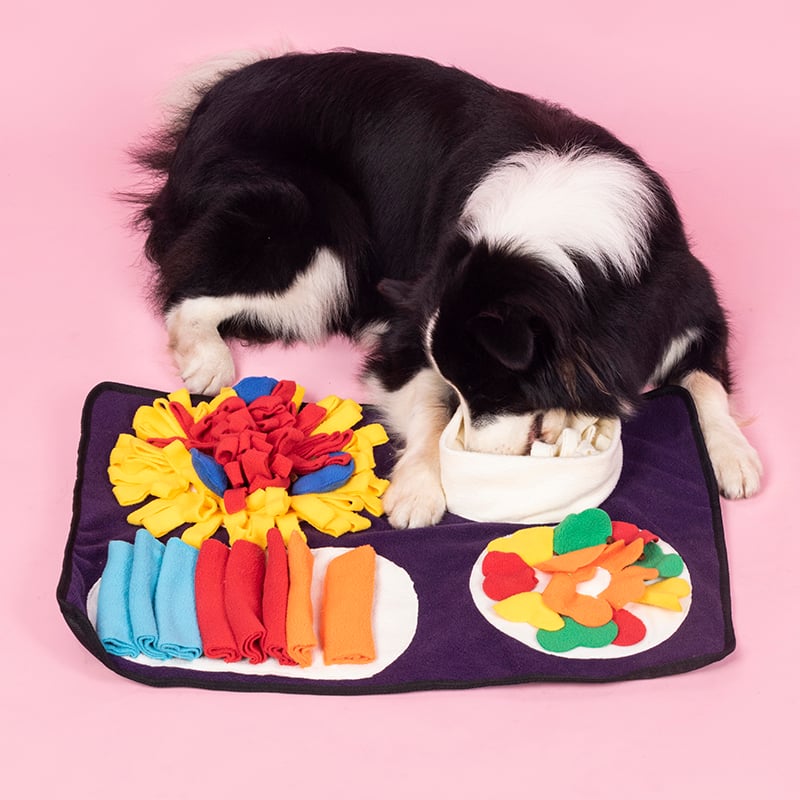 Italian Feast Snuffle Mat for Interactive Dog Foraging