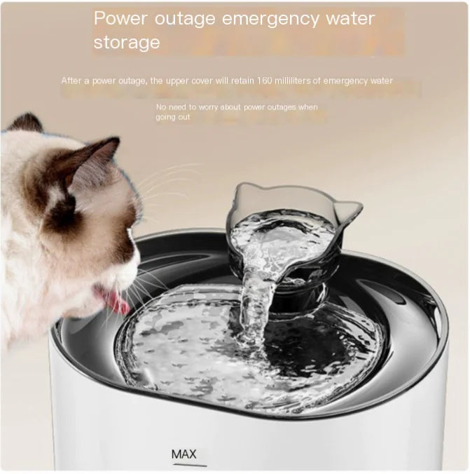 Automatic USB Electric Pet Water Feeder