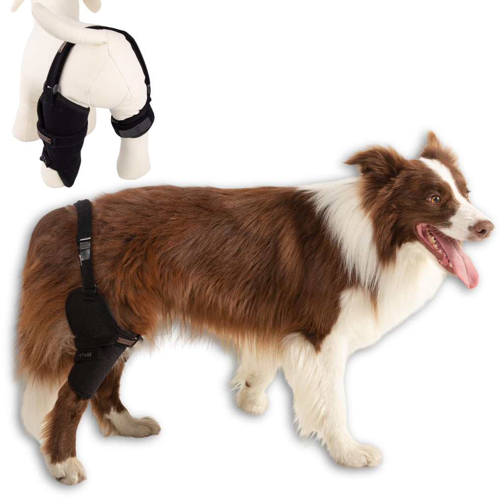 SSaYo Dog Knee Brace for Male/Female Dogs - Neoprene Support Dog Leg Braces for Back Leg with Adjustable Straps and Belt - Torn ACL Hind Leg Ligament Injury Joint Pain and Stability (Large Right)