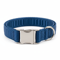 Premium blue dog collar on white background