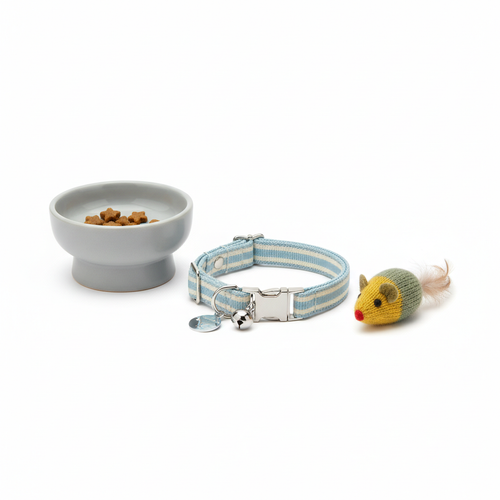 Cat essentials bundle with collar, bowls, and toy