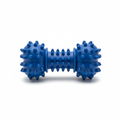 Blue durable rubber dog chew toy